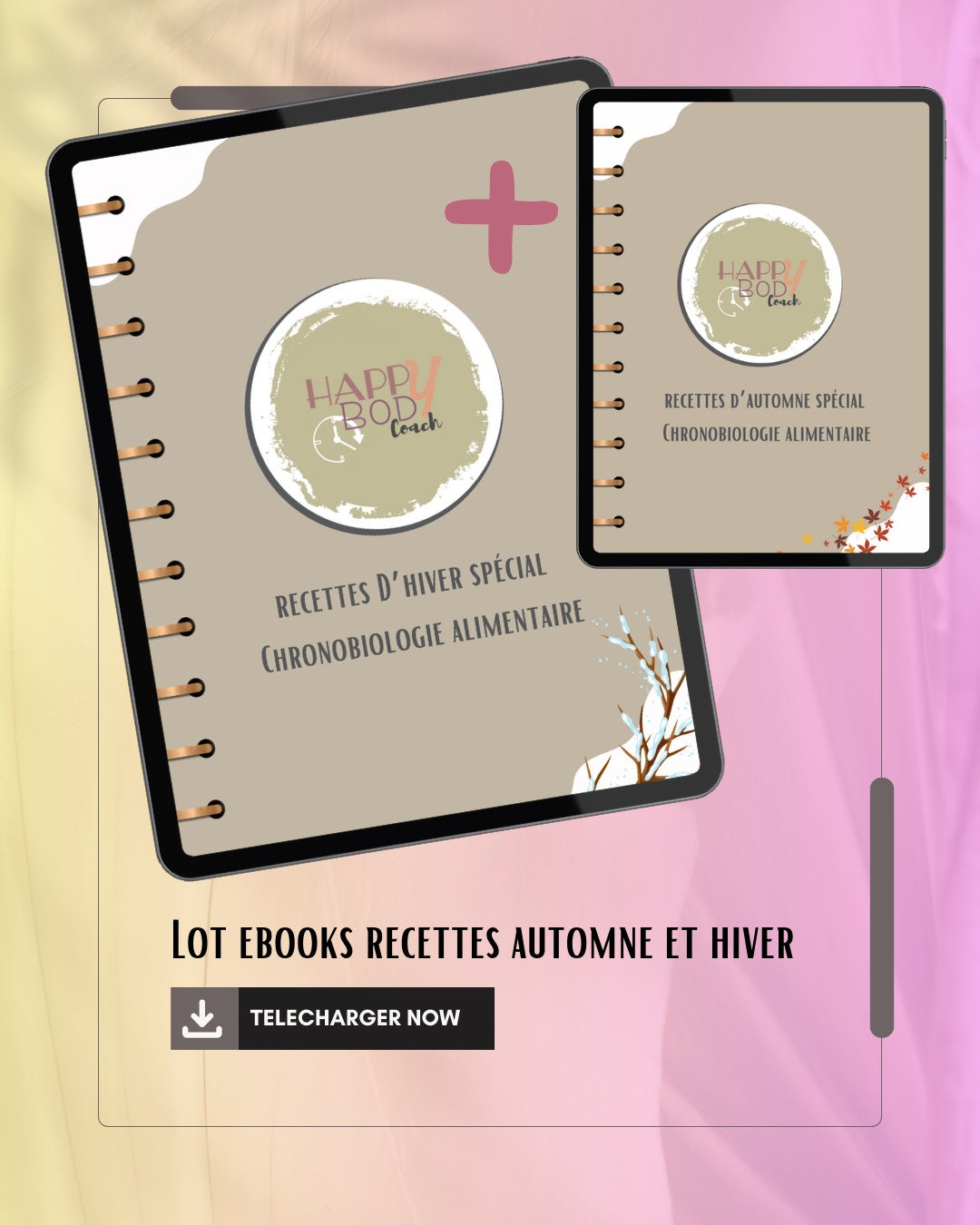 Lot Ebooks recettes automne et hiver